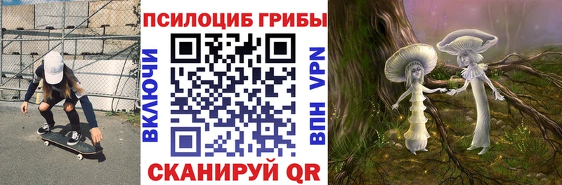 закладка Губкинский Галлюциногенные грибы мицелий